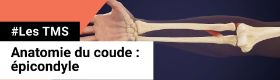 TMS - Anatomie du coude - Epicondyle