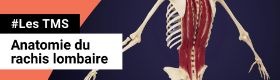 TMS - Anatomie du rachis lombaire
