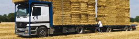 Risques biologiques et maladies respiratoires d'origine allergique ou toxinique en milieu agricole