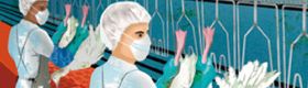 Vous travaillez en abattoir de volailles. L'ornithose vous concerne