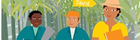Culture de la canne à sucre