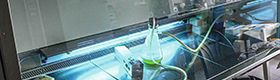 Hygiène et sécurité du travail, revue trimestrielle scientifique de l'INRS