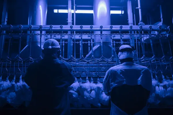 À forte intensité, la lumière bleue peut avoir des effets sur la rétine