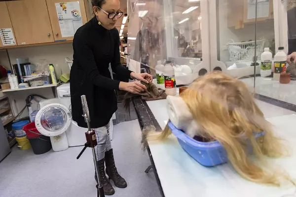 Travail sous hotte aspirante pour les colles sur les perruques