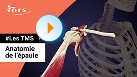 TMS - Anatomie de l'épaule