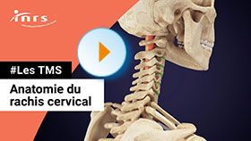 TMS - Anatomie du Rachis cervical