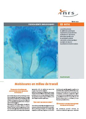 Moisissures en milieu de travail