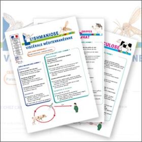 Campylobactériose à Campylobacter jejuni et Campylobacter coli