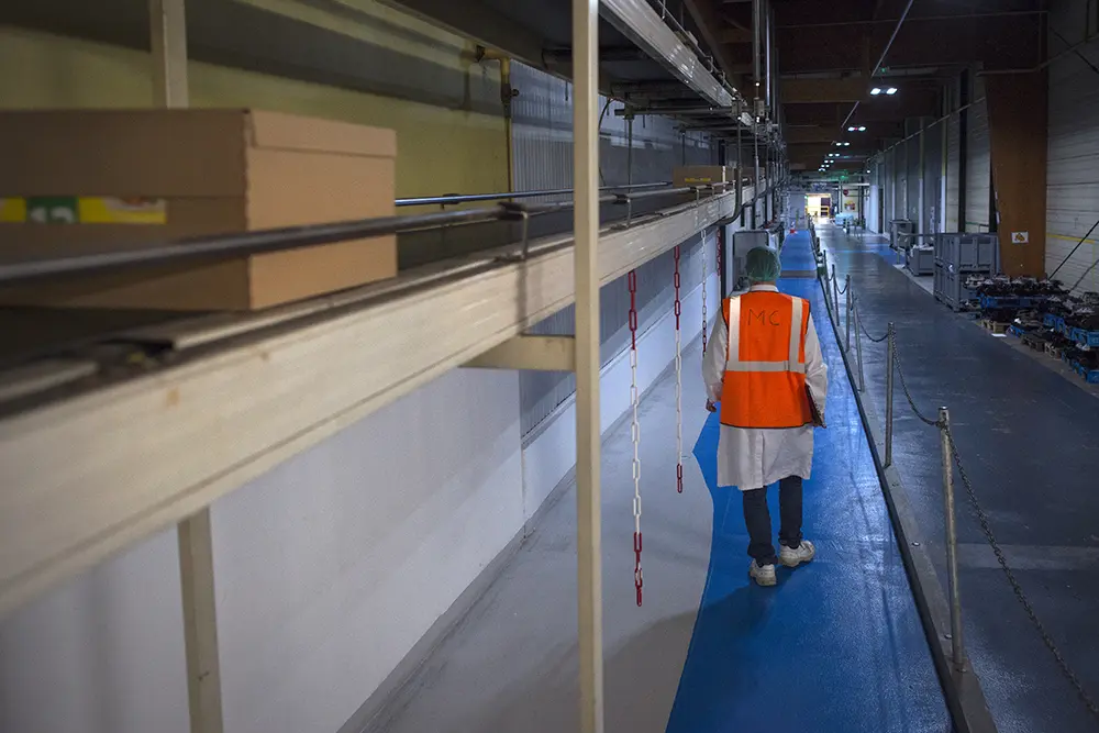 Salarié marchant sur une voie de circulation réservée aux piétons